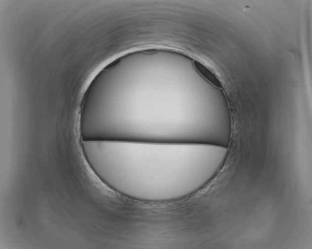 X0000112741524200909031455