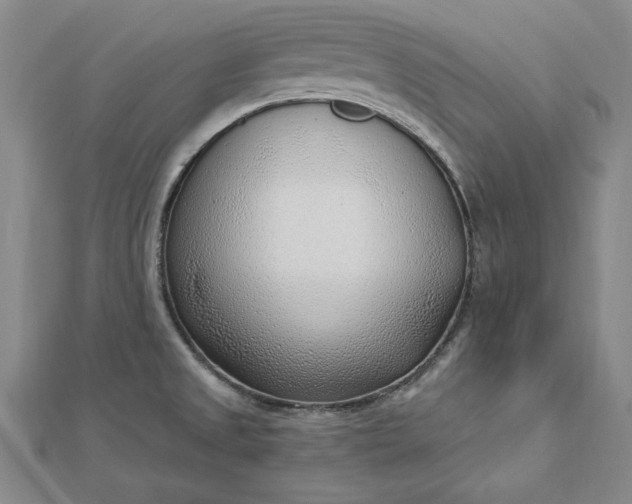 X0000112741525200909031455