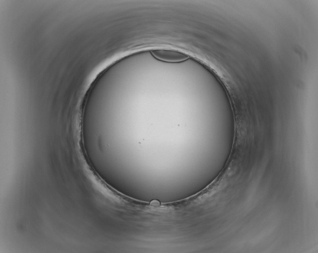 X0000112741526200909031455