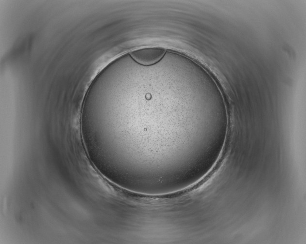 X0000112741529200909031455