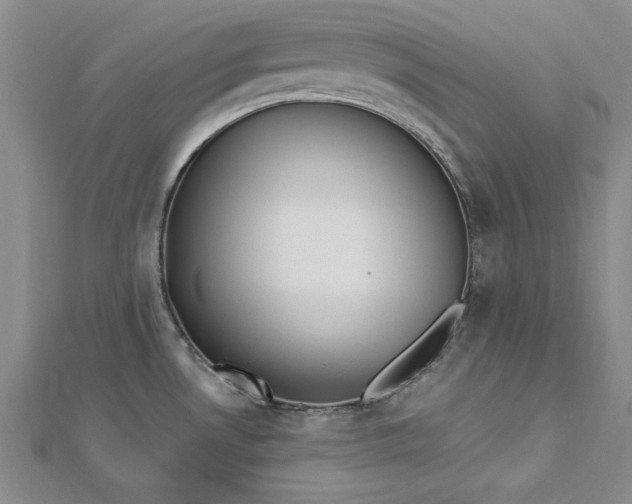 X0000112741530200909031455