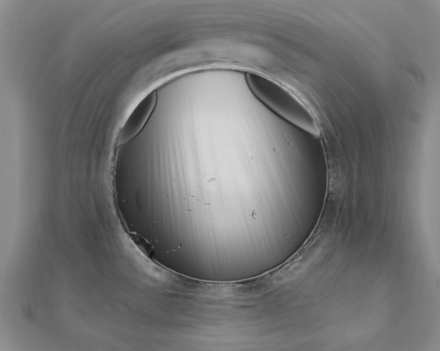 X0000112741532200909031455