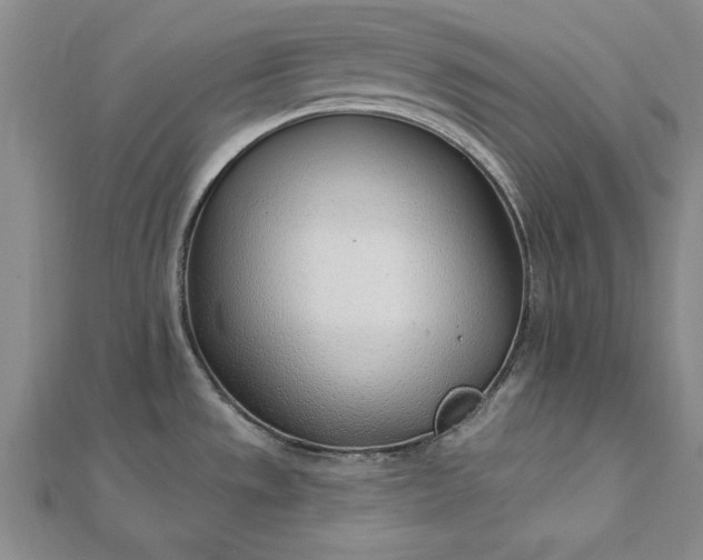 X0000112741533200909031455