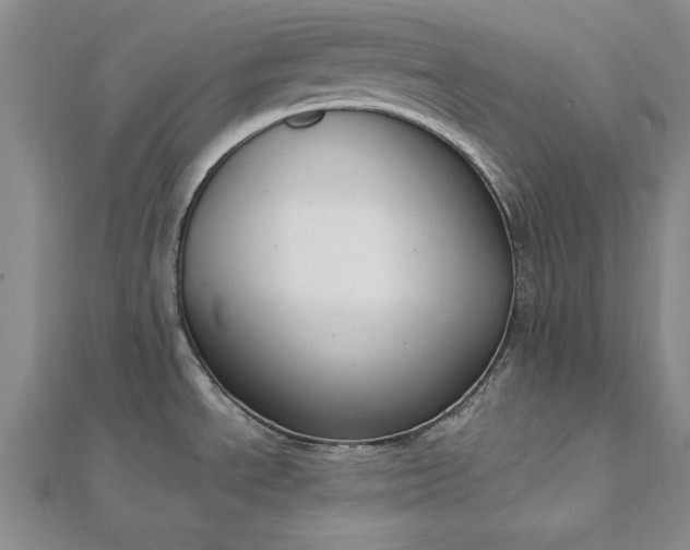 X0000112741534200909031455