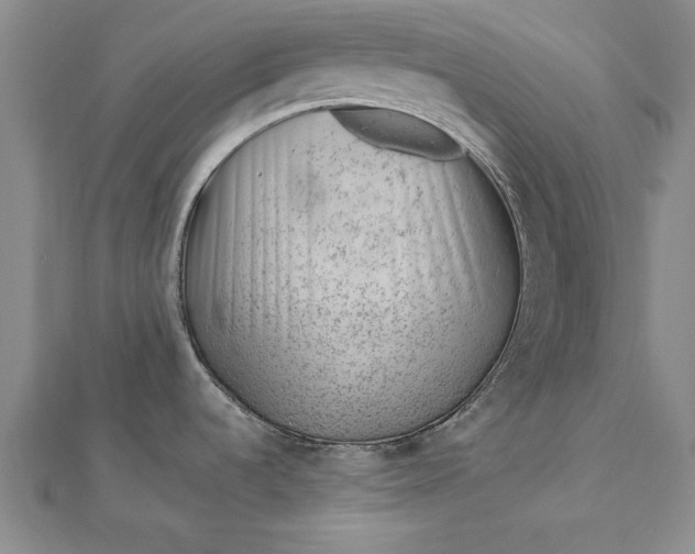 X0000112741536200909031455