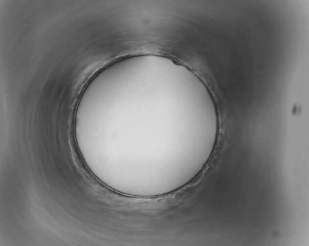 X0000112740001200909101527