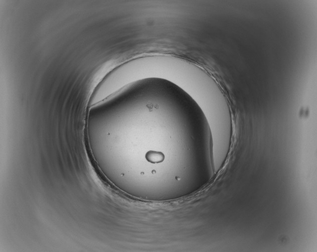 X0000112740003200909101527