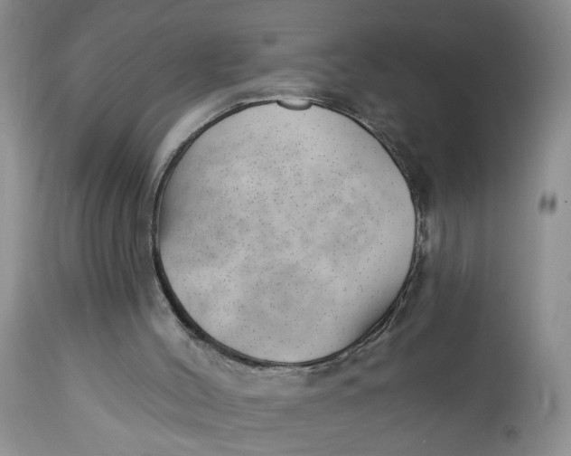 X0000112740004200909101527