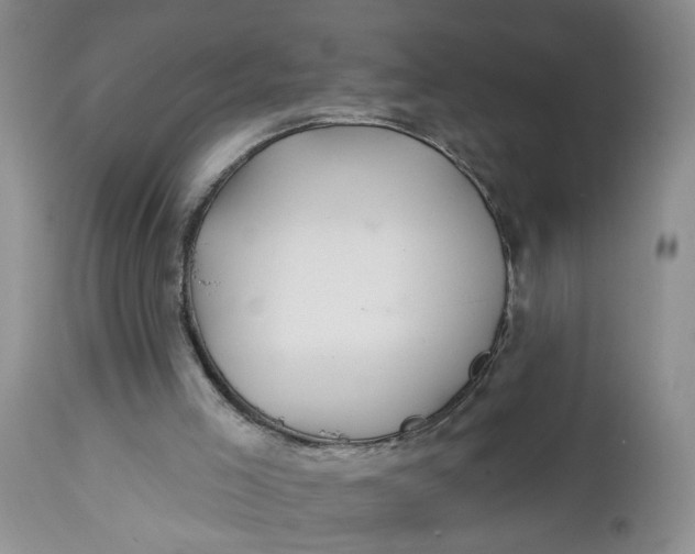 X0000112740005200909101527