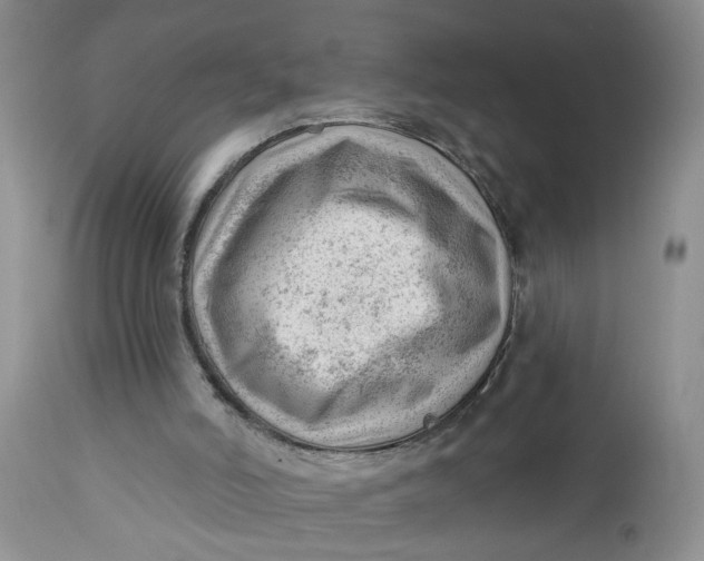 X0000112740006200909101527