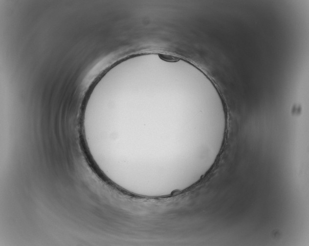 X0000112740007200909101527