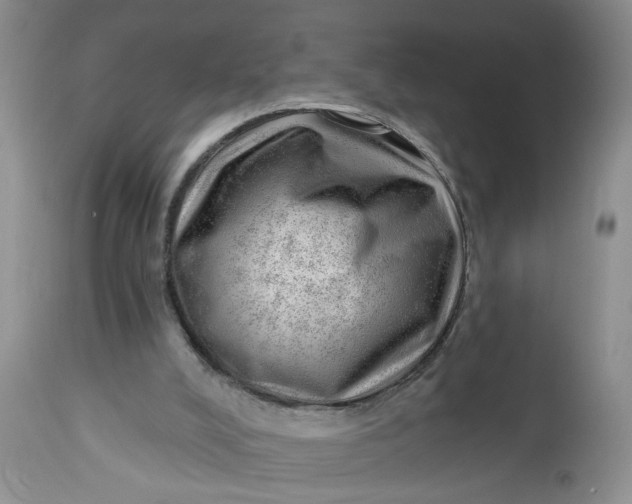 X0000112740008200909101527