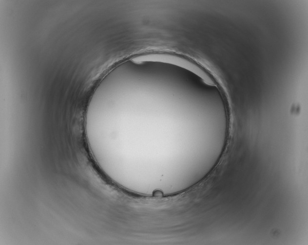 X0000112740009200909101527