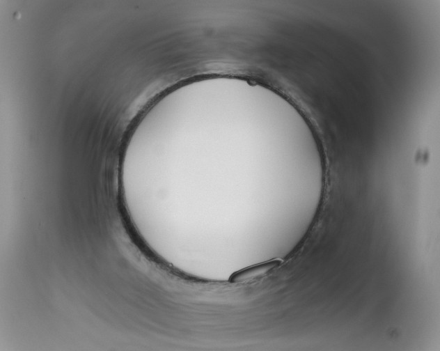 X0000112740011200909101527