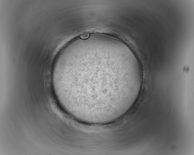 X0000112740012200909101527