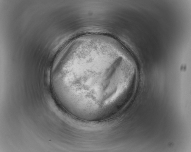 X0000112740014200909101527