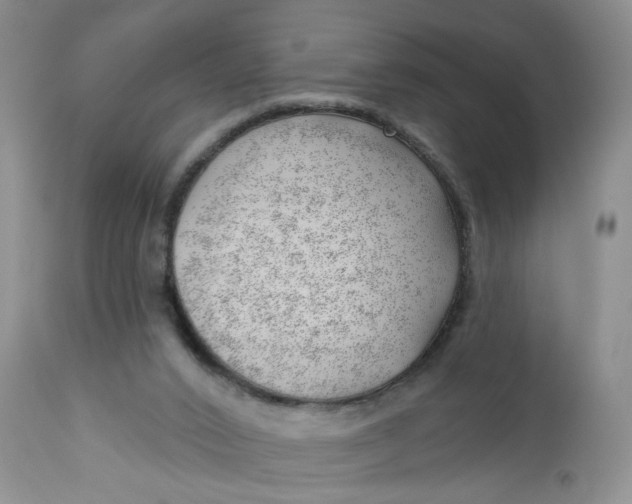 X0000112740016200909101527