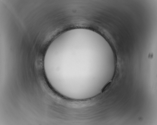 X0000112740017200909101527