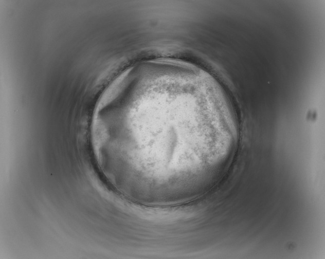 X0000112740018200909101527