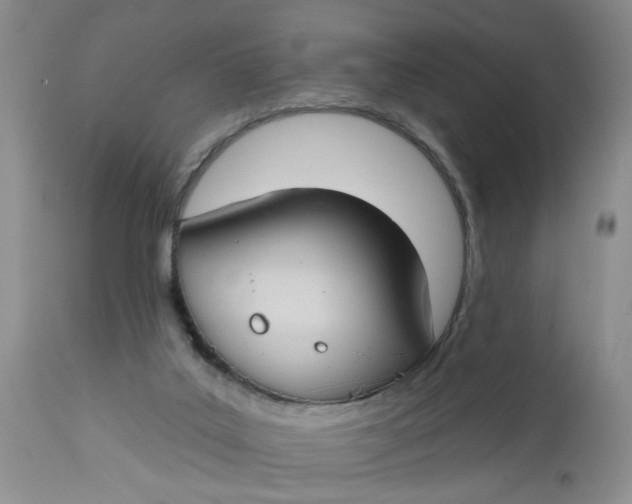 X0000112740019200909101527