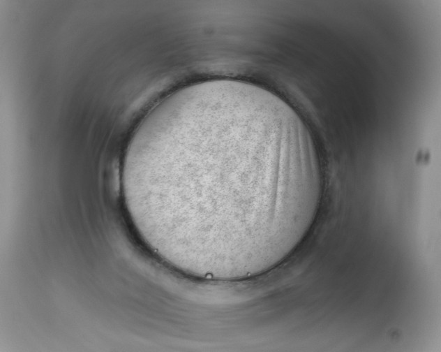 X0000112740020200909101527