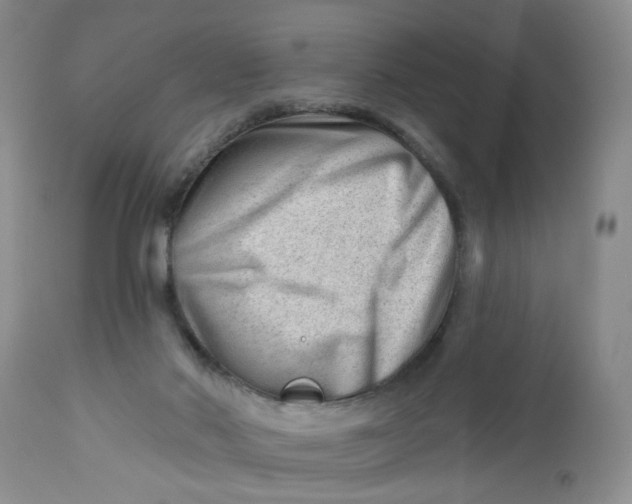 X0000112740022200909101527