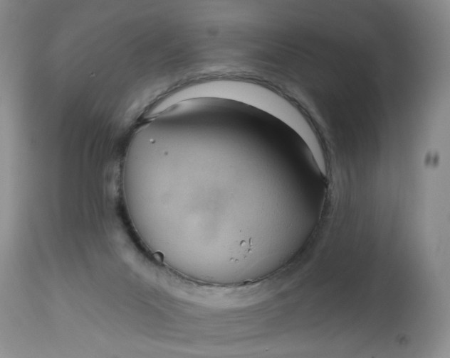 X0000112740023200909101527