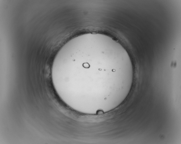 X0000112740025200909101527