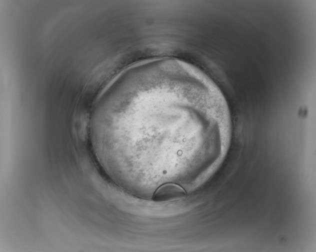 X0000112740026200909101527