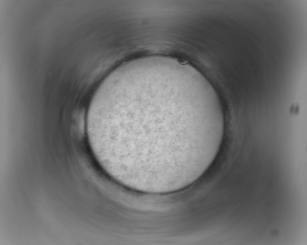 X0000112740028200909101527