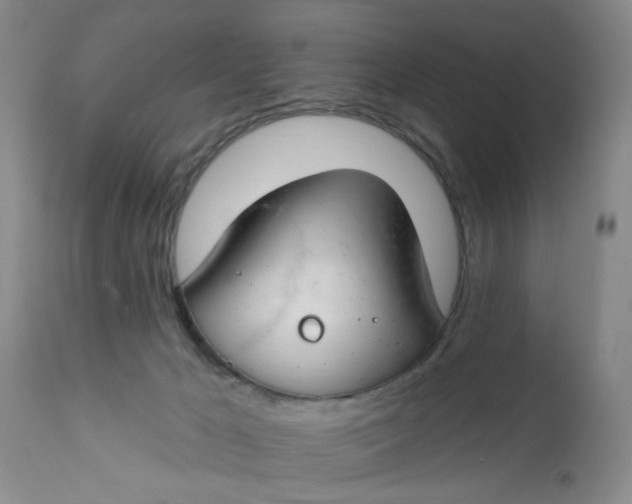 X0000112740029200909101526