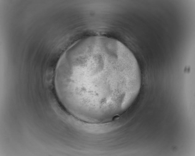 X0000112740030200909101526