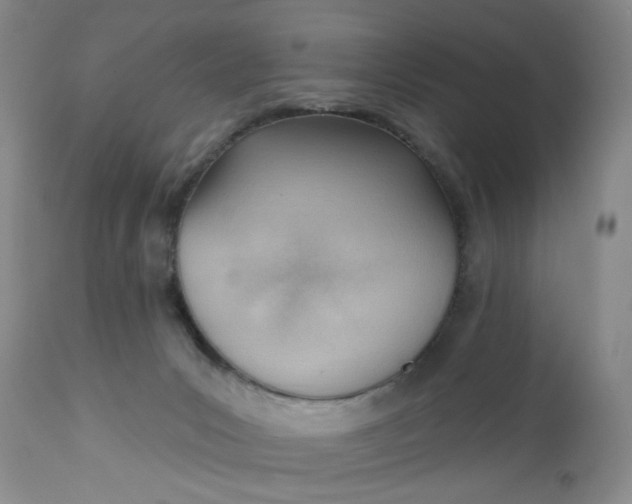 X0000112740031200909101526