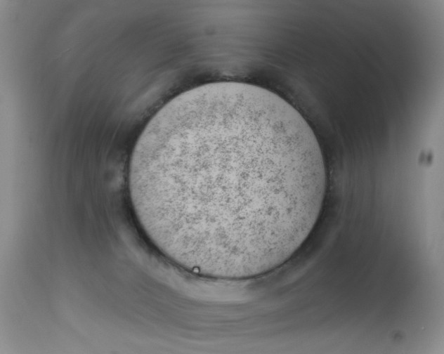 X0000112740032200909101526