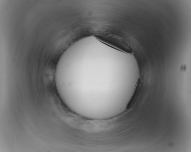 X0000112740033200909101526