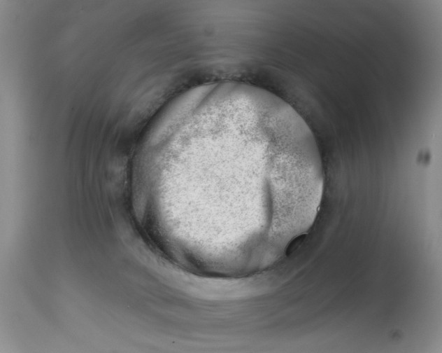 X0000112740034200909101526