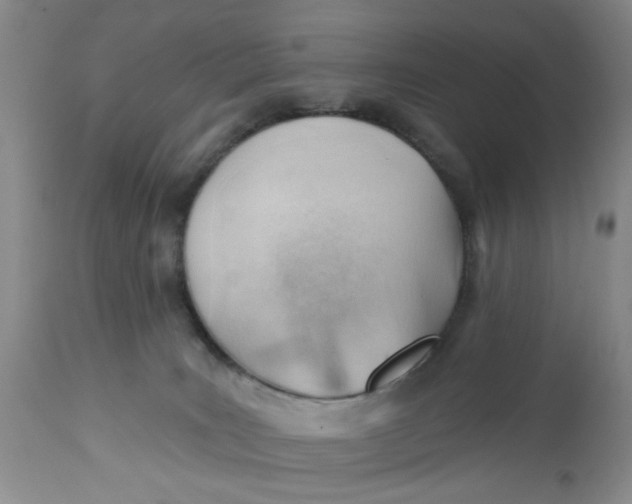 X0000112740035200909101526