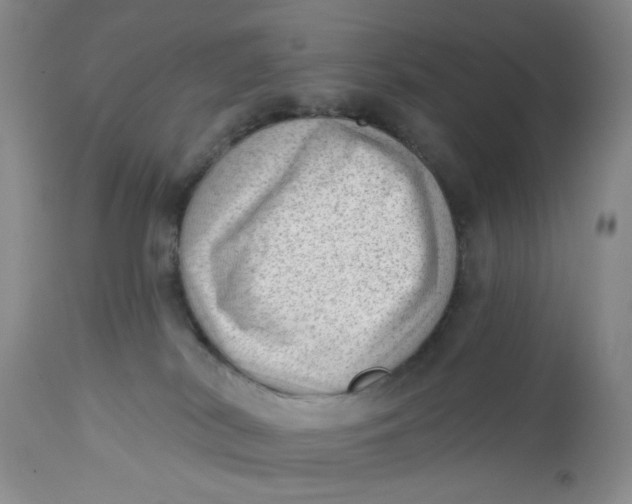 X0000112740038200909101526