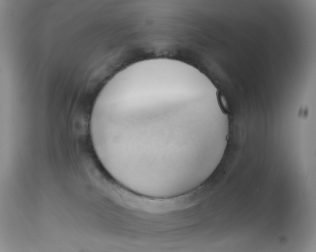 X0000112740039200909101526