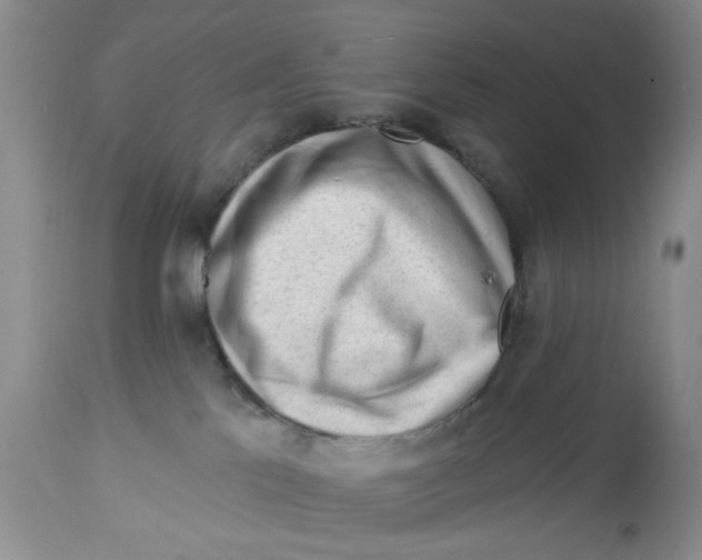 X0000112740041200909101526