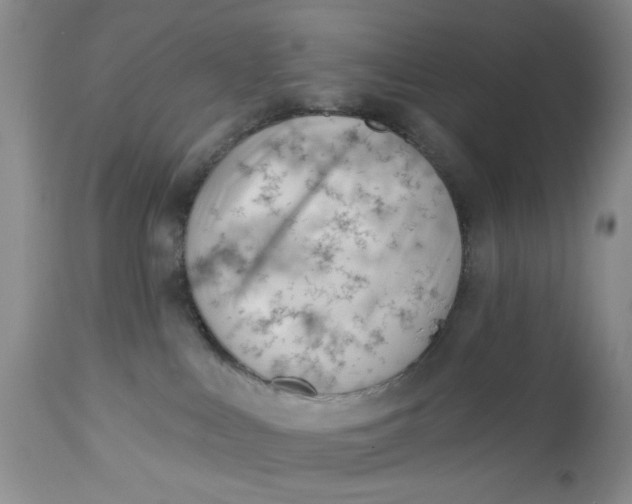 X0000112740043200909101526