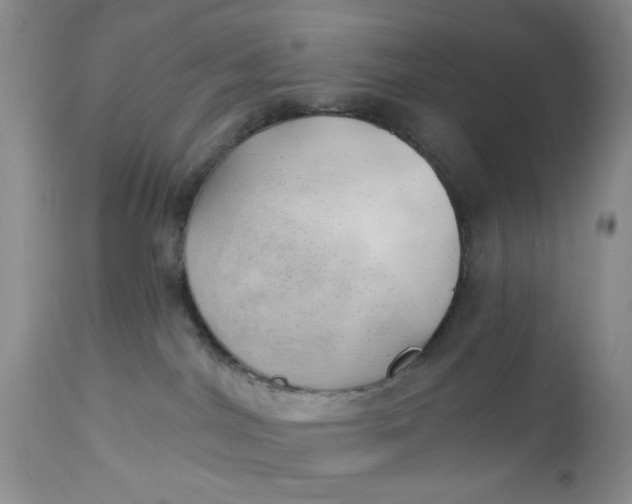 X0000112740044200909101526