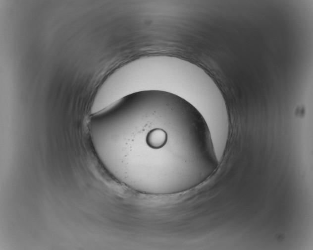 X0000112740045200909101526