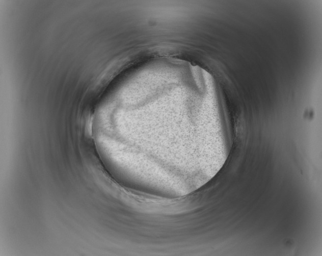 X0000112740046200909101526