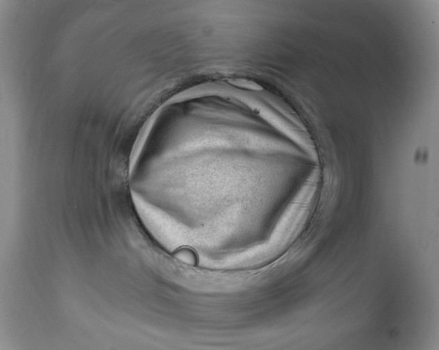 X0000112740048200909101526