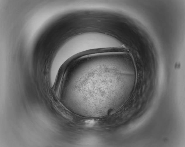 X0000112740050200909101525