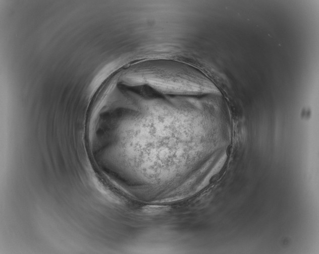 X0000112740051200909101525