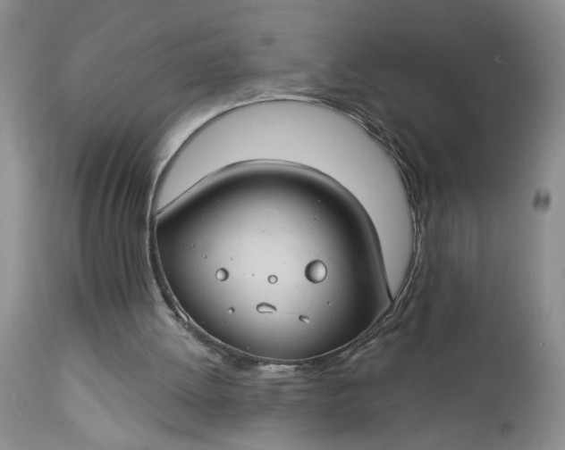 X0000112740052200909101525