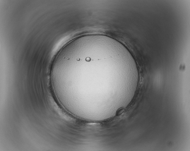 X0000112740053200909101525