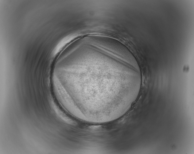 X0000112740054200909101525